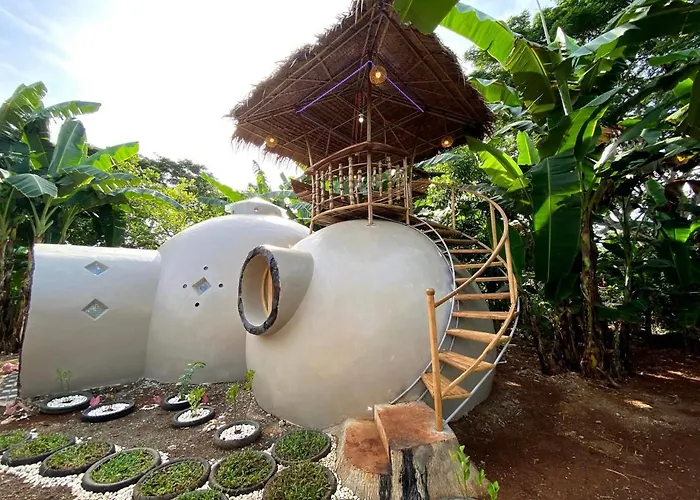 Adorable Dome House
