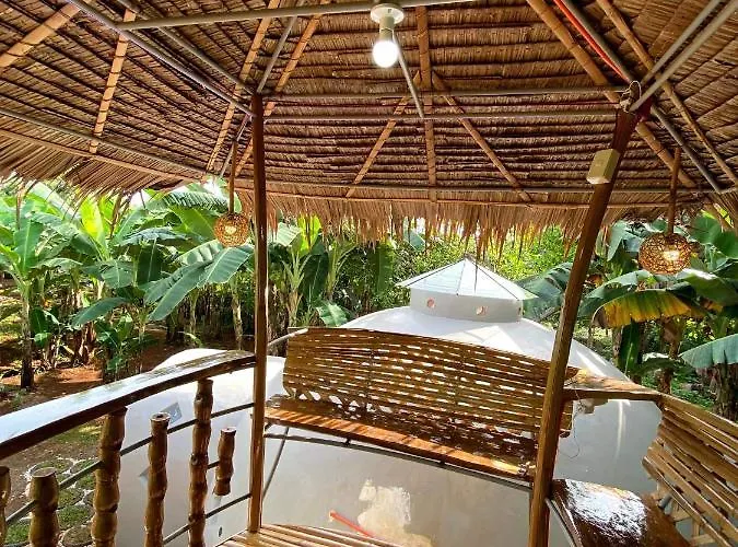 Adorable Dome House